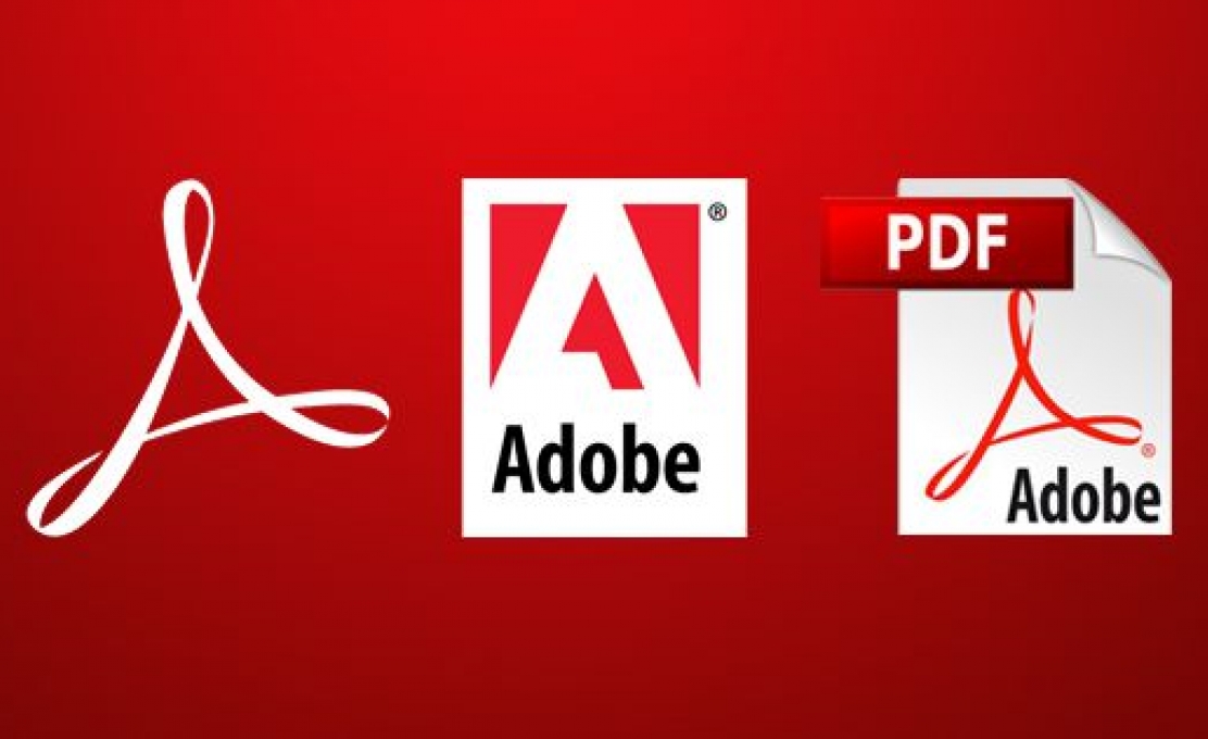 Saiba Aqui Como Acessar Os Atos Oficiais do Município